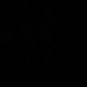 Meet your Posher, Alexander